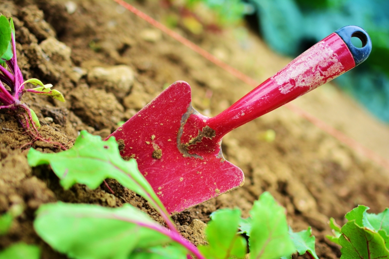 sasu-HYERES-min_gardening-2448134